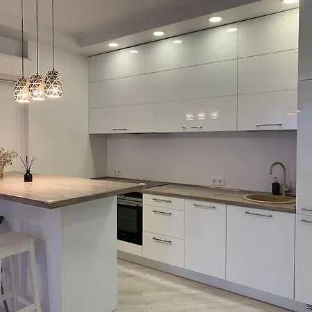Spacious Near Center Sky Studio * Wilno